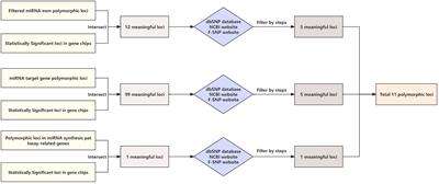 MiRNA polymorphisms affect the prognosis of gastric cancer: insights from Xianyou, Fujian